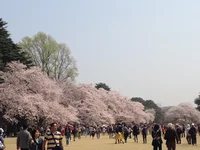IMG_3475.webp