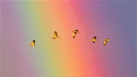 4B51D5F3-A132-42C9-AD1E-7694CB5CCBF9.webp