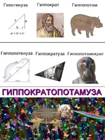 FB_IMG_16117355163656064.webp