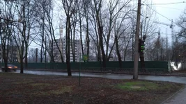IMG_2021-01-28_161924.jpg