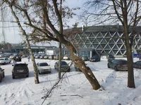 IMG_20210130_113555.webp
