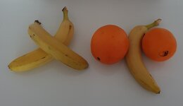 ae0ab8a2a411.jpg