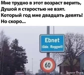 1.webp