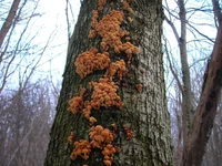 DSCN6664.webp