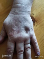 1[1].webp