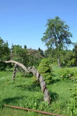 DSC_9756.jpg