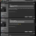 Screen Shot 2021-02-08 at 16.34.15.webp