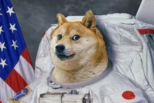 Doge.webp