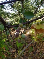20200911_141253.webp