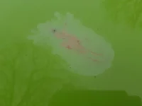 20210218_125446.webp