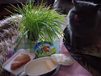 20210123_090138.webp