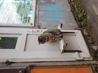 20201102_140430.webp