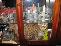 IMG_4408.webp