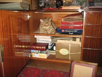 IMG_6984.webp