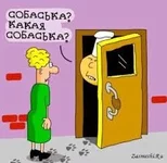 images.webp