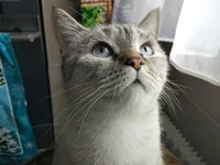 QZxPaXPfJ4Y.webp
