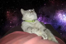 usQFFqFYWhM.webp