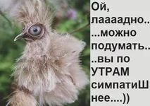 i (7).webp