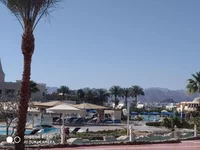 IMG_20210306_141132.webp