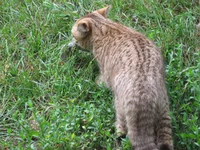 IMG_4052.webp