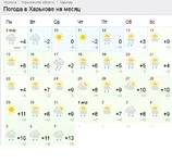 .webp