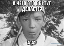 sho-u-moskaley_122140933_orig_.webp