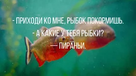 shutki-i-anekdoty-s-chernym-yumorom-1.webp