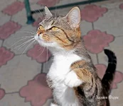 1b90324ce79eb53ee5.webp