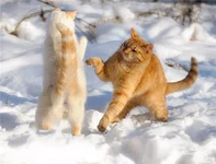 57c1f8cf0a40d48152a1deb.webp