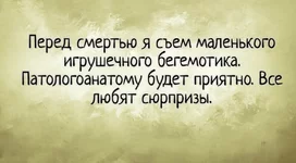 IMG_20210311_183720.webp