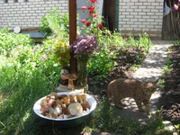 IMG_4059.webp