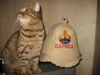 IMG_5492.webp