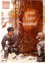 17.webp