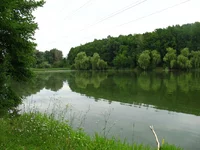 IMG_4468.webp