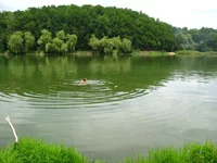 IMG_4476.webp