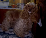 Pict02.webp