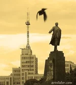 bird_1.webp