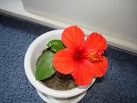 DSC01018.webp