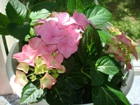 DSC01239.webp