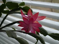 DSC02796.webp