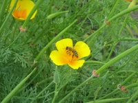  083.webp