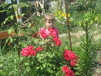  253.webp