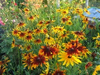  105.webp