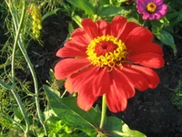  117.webp