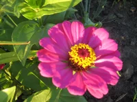  118.webp