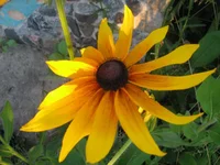  122.webp