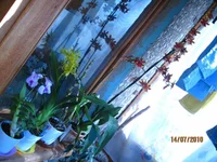 IMG_1441.webp