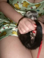 64R6TZuWF3.webp 64R6TZuWF3.webp