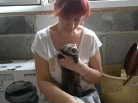 CaPSW62GkD.webp CaPSW62GkD.webp