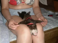 fR2EJBcaLV.webp fR2EJBcaLV.webp